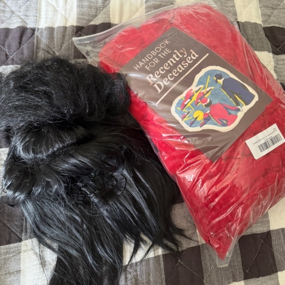 Lydia Beetlejuice Costume Medium - Picture 8 of 8